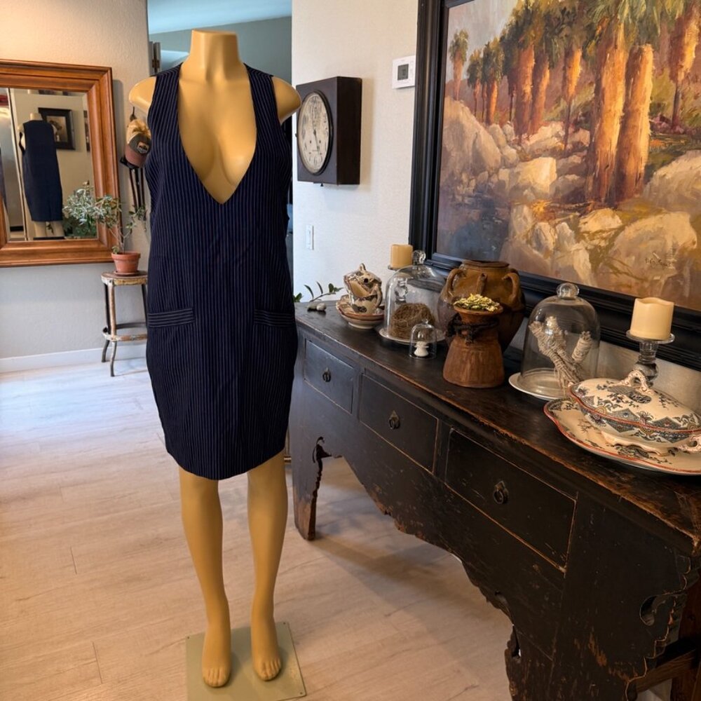 Michele Knee Length Deep Plunge NeckLine Blue & White PinStripe Lined DRESS